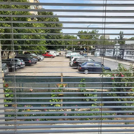 за гости тара Ruse