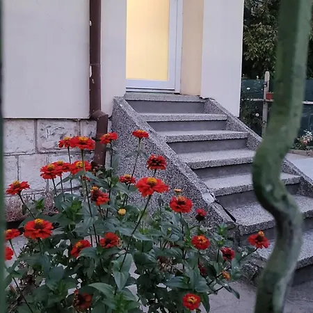 за гости тара Apartment *