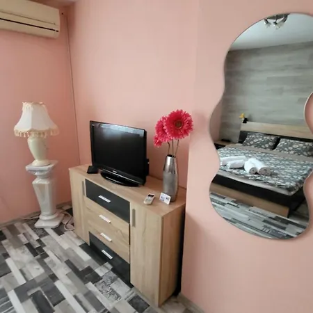 за гости тара Apartment Ruse