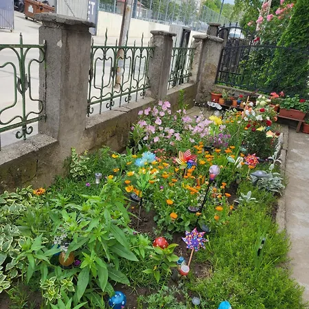 за гости тара * Rusze