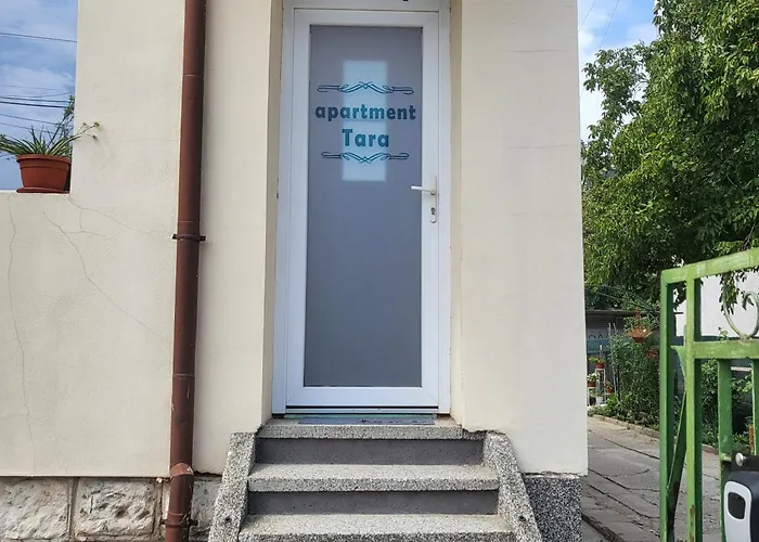 за гости тара *