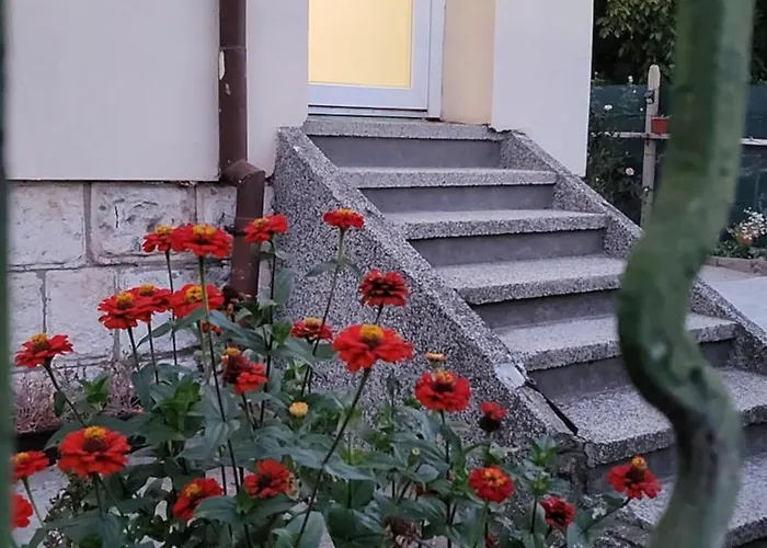 за гости тара شقة *