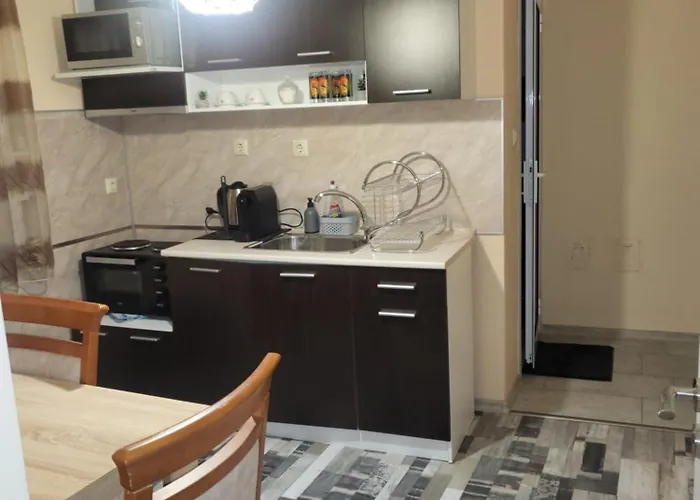 за гости тара روس