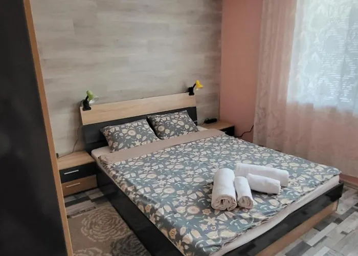 за гости тара