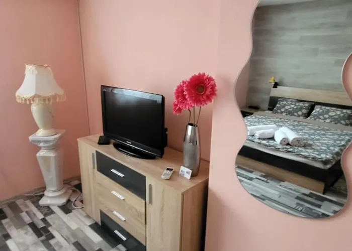 за гости тара شقة روس