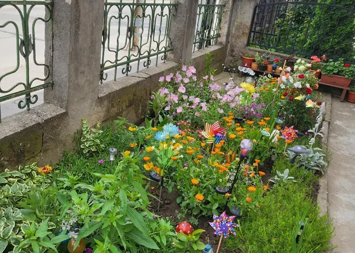 за гости тара * روس